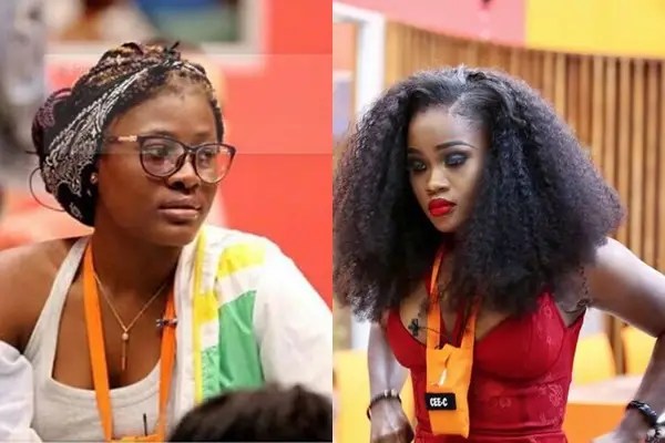 Cee-C’s many strikes my biggest highlight –&nbsp;Alex