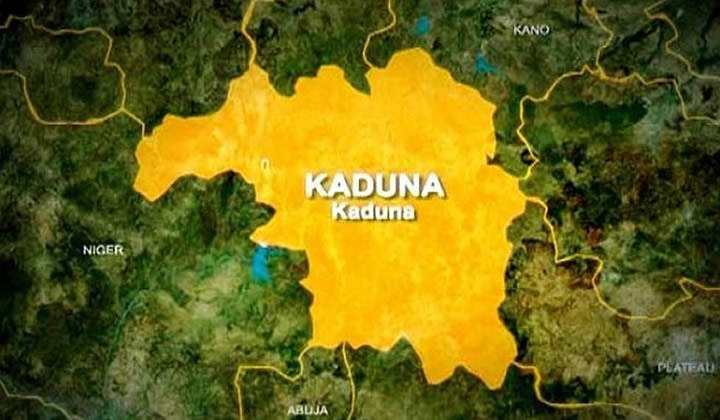 10 children hospitalised as strange ailment breaks out in&nbsp;Kaduna