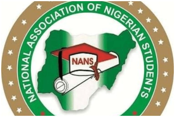 NANS takes action against arms proliferation in&nbsp;Ogun