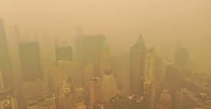 Canada wildfires burn over 10m hectares this&nbsp;year