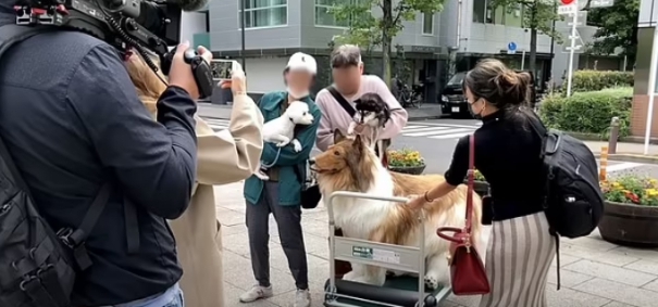 PHOTOS: Man Who Spent $15,000 To Become Dog Finally Goes Outside, Interact With Fellow&nbsp;Dog’s