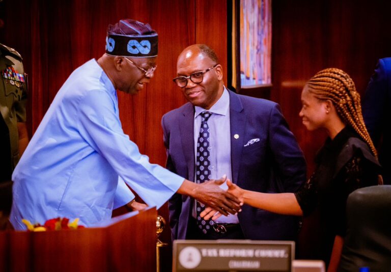 400-level UI student appointed member of Tinubu’s tax reforms&nbsp;committee