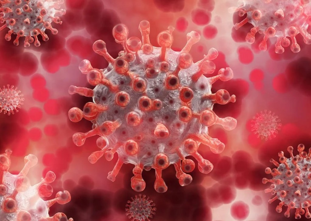 NCDC – No need to panic, COVID-19 variants not in&nbsp;Nigeria