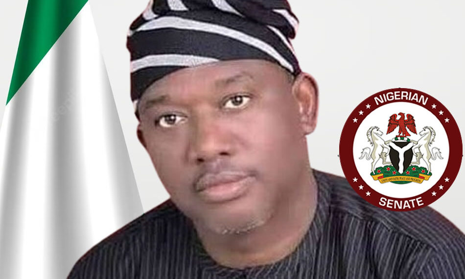 My parents are languishing in IDP camp’ – Senator