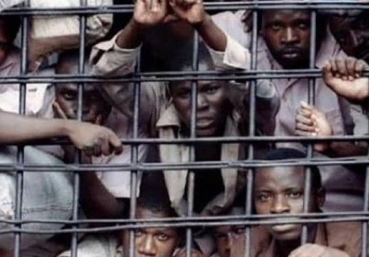 FG To Pay N500m Fine For 4,000 Nigerians To Release Them From&nbsp;Prison