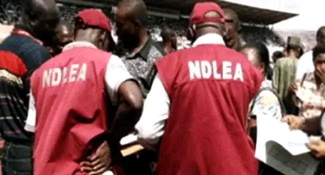 Why Our Operatives Are Conducting Stop-and-search At Lekki —&nbsp;NDLEA