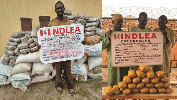 NDLEA Arrests Three Blind Men Peddling&nbsp;Drugs