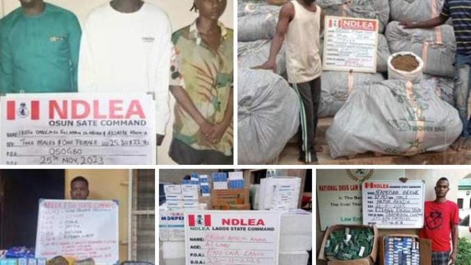 NDLEA Arrests Illicit Drug Party Organisers In&nbsp;Osogbo