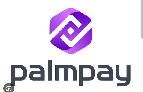 PalmPay Wins at Nigerian Marketing&nbsp;Awards