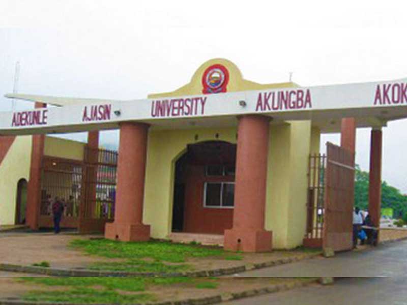 Ondo University Employees Rally Against Non-Payment of N35,000 Wage&nbsp;Entitlement