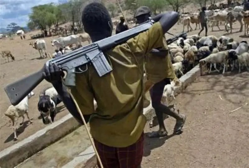 ‘Herders’ Invade Abuja Estate, Abduct 10&nbsp;Individuals