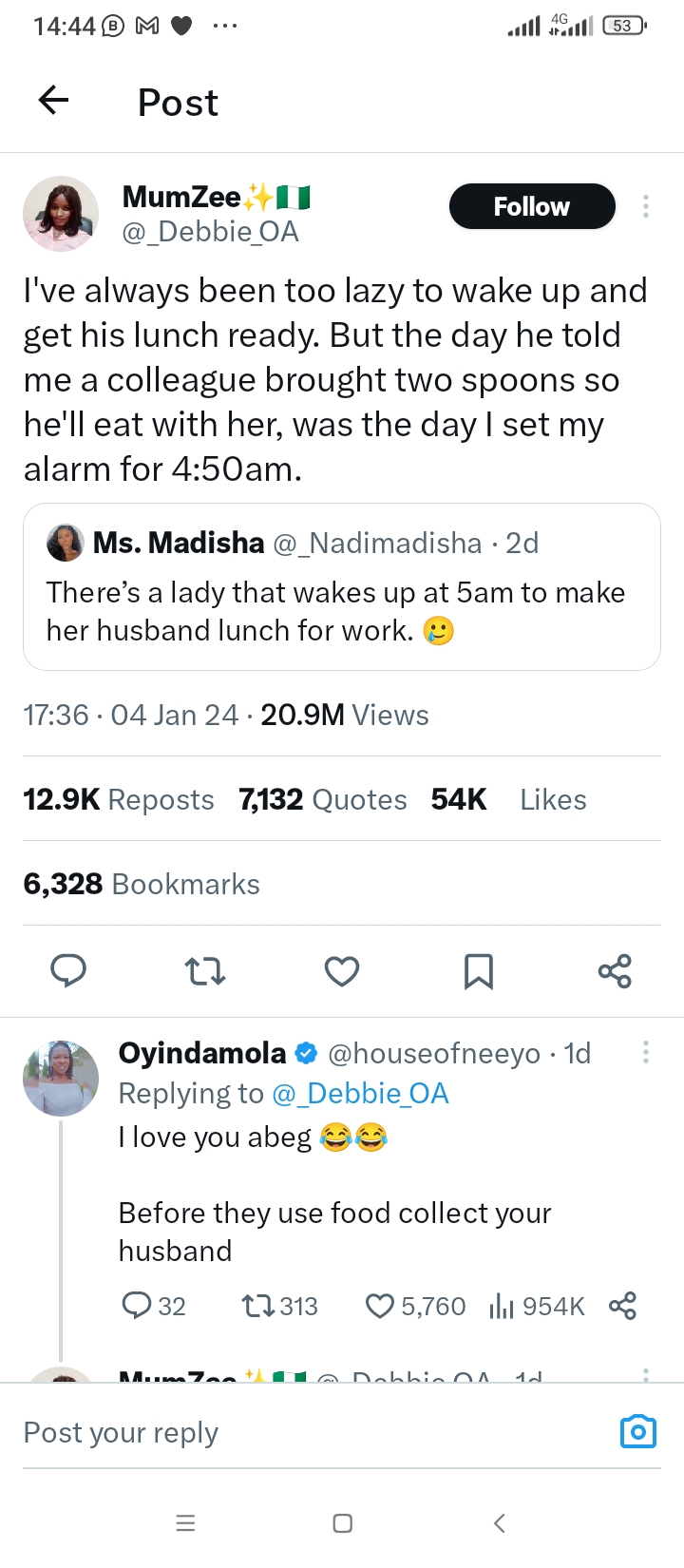 See How post on X of a Good Wife Turns wifey into a Millionaire&nbsp;Overnight