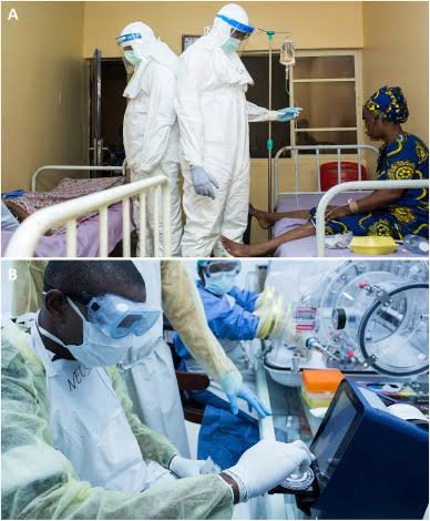 Ebonyi Records 10 Fatalities from Lassa&nbsp;Fever