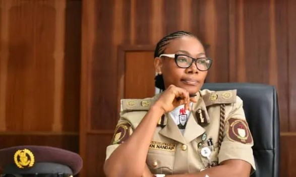 Tinubu Appoints New Immigration CG,&nbsp;Nandap