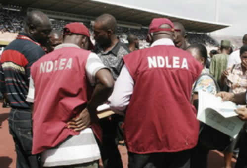 NDLEA: Fermented Urine, New Drug Substance Discovered by Borno&nbsp;Youth