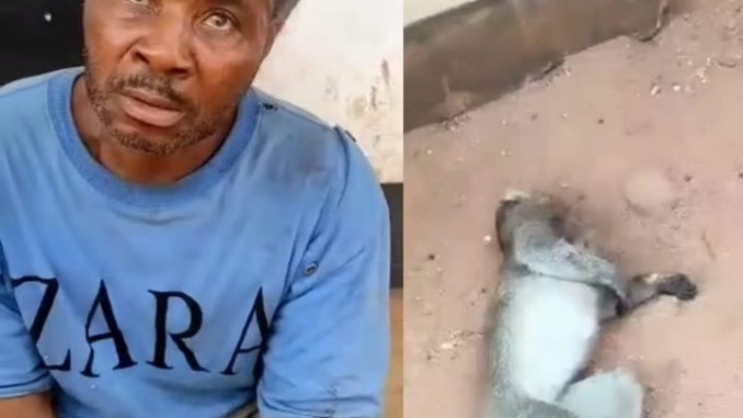 Unbelievable! Man Arrested, Paraded For Killing&nbsp;Monkey