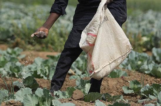 Bayesla State Govt Approves Farming Days For Civil Servants