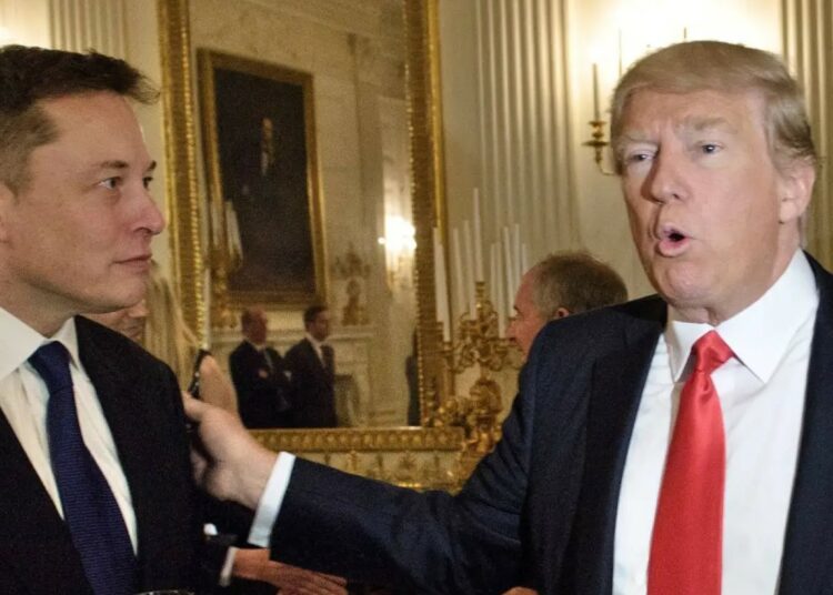 Trump To Offer Cabinet, Advisory Role To Elon Musk If&nbsp;Re-elected