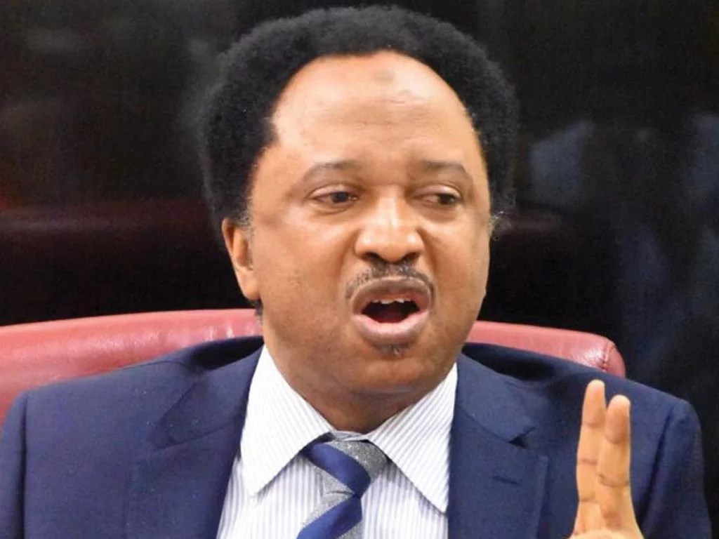 Dangote A Businessman, Not ‘father Christmas’ – Shehu Sani Warns&nbsp;Nigerians