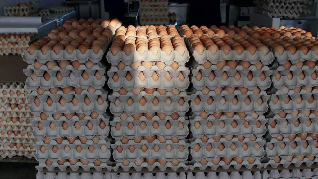 Price Of Eggs To Hit ₦‎10,000 Per Crate – Poultry&nbsp;Farmers