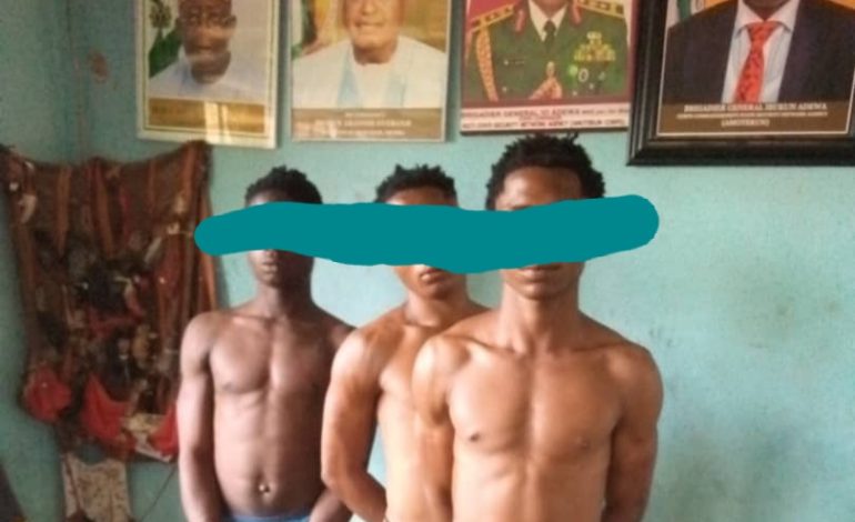 Amotekun Arrests Three Teenagers For Burglary,&nbsp;Theft