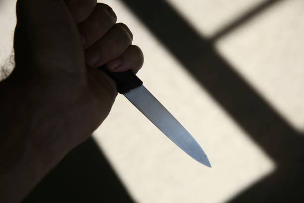 Female student stabs colleague to death in Ondo