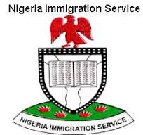 Immigration Plans Digital Passport Renewal For Nigerians&nbsp;Abroad