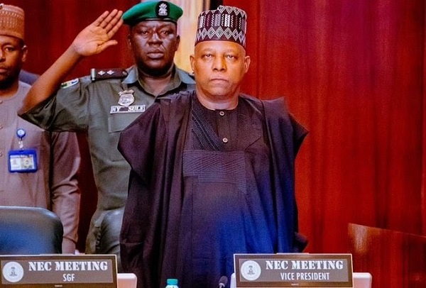 NEC: Governors Approve Creation of State&nbsp;Police