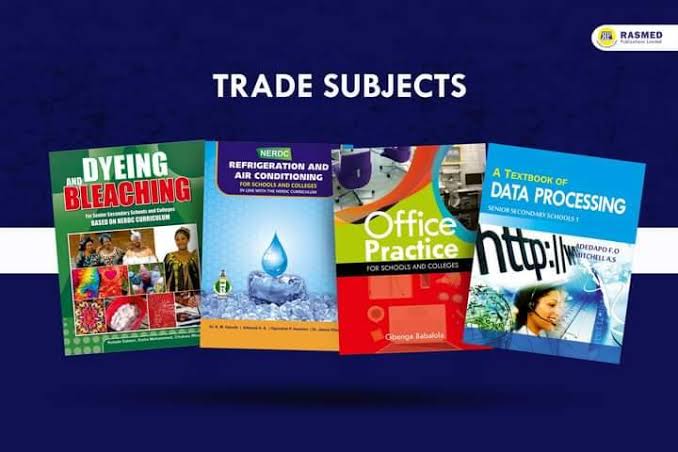 Makeup, POP Installation, Plumbing, 12 New Subjects Added To Basic Education&nbsp;Curriculum