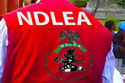 NDLEA reveals Illicit Drug Warehouse, Recovers N6.7 Billion Opioids, Arrests&nbsp;Baron