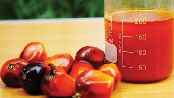 Health Expert warns against palm oil use after kerosene&nbsp;poisoning